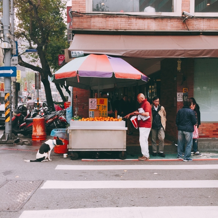 d0138811_10363972.jpeg
