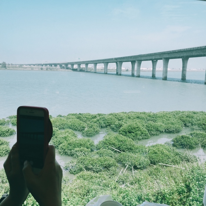 d0138811_10442323.jpeg