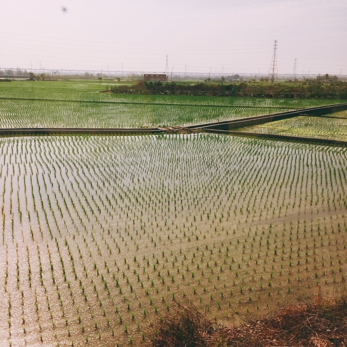 d0138811_10451341.jpeg