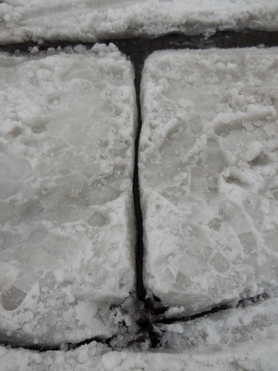 いきなりプラス10℃越え_c0025115_20084066.jpg