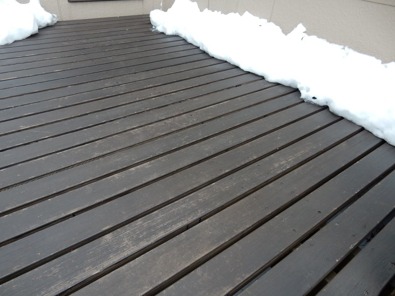 いきなりプラス10℃越え_c0025115_20085110.jpg