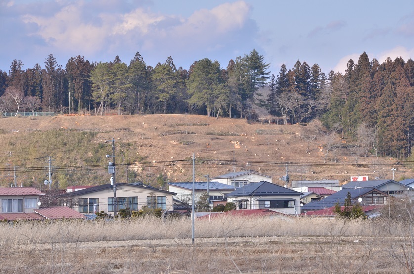 e0349817_20212668.jpg