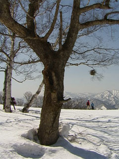 c0346119_09274801.jpeg
