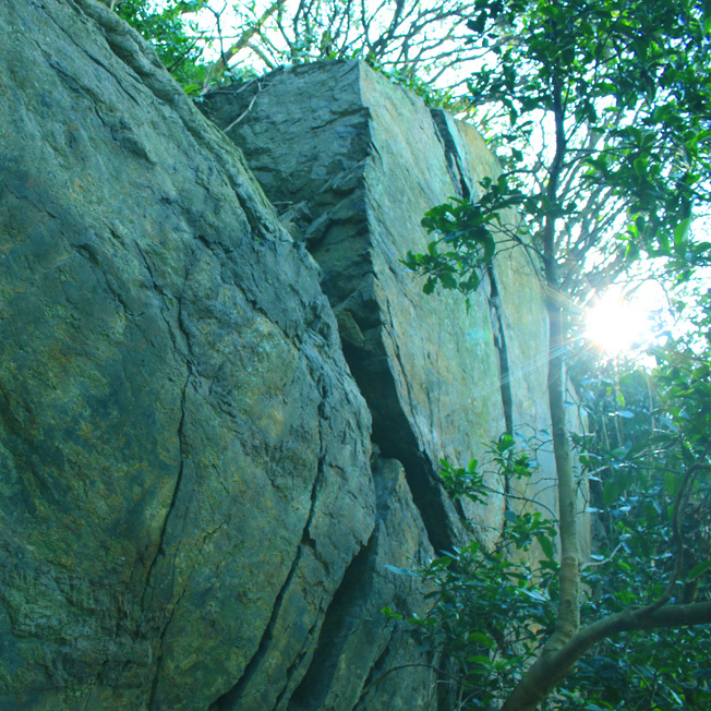 a0329820_12340148.jpg