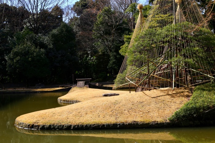 小石川後楽園　2018.3.3　Park 32_e0237623_01540325.jpg