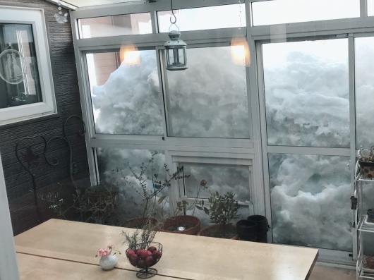 d0161525_15440271.jpeg