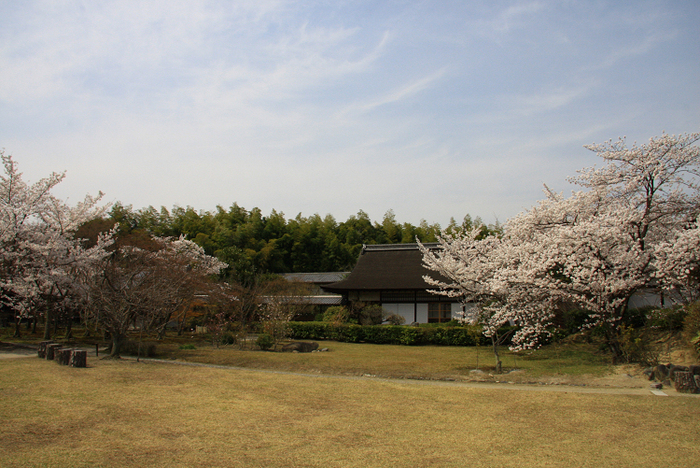 そうだ 京都、行こう。 －2018年桜 勧修寺－ _b0169330_0185054.jpg