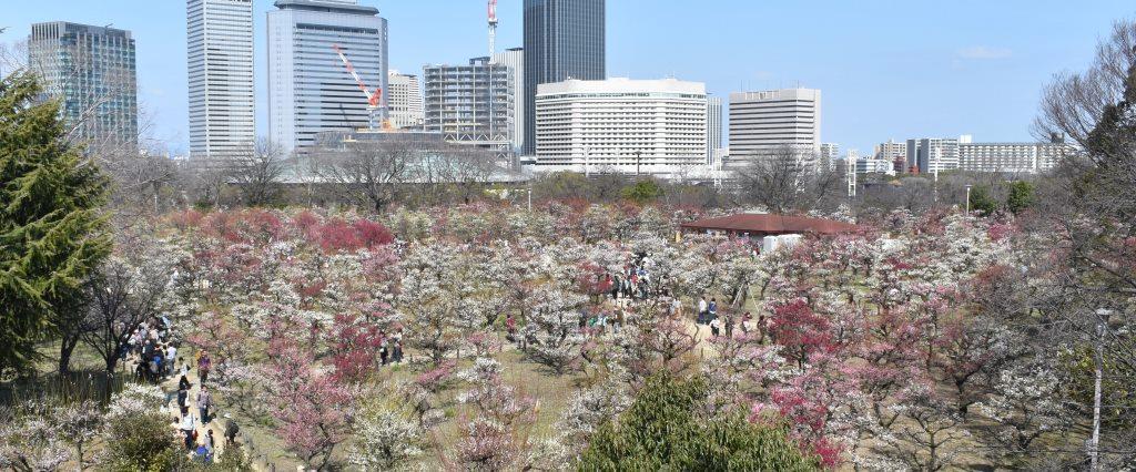 第13回くすのき眼科臨床懇話会(最終回)その1 (1038)_f0088231_17204928.jpg