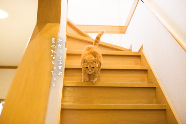 排泄は大事。_d0355333_14110105.jpg