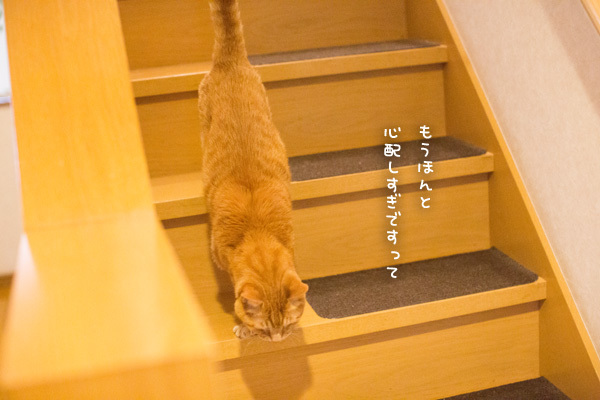 排泄は大事。_d0355333_14110410.jpg