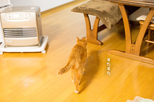 排泄は大事。_d0355333_14111089.jpg