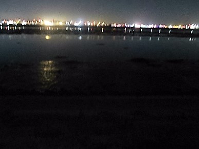 f0321433_16050037.jpg