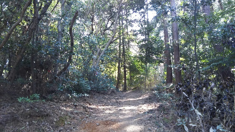 c0077338_18021450.jpg
