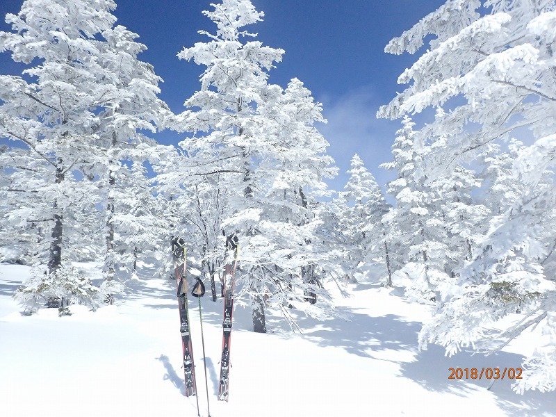 e0062639_11140038.jpg