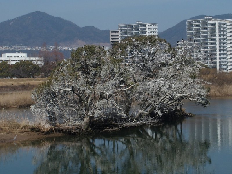 野鳥の楽園_b0190540_00261459.jpg