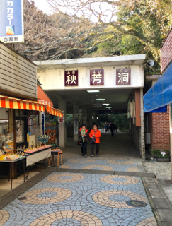 ついに来た しゅうほうどうじゃないよ 秋芳洞 むつずかん ついに来た しゅうほうどうじゃないよ 秋芳洞 むつずかん
