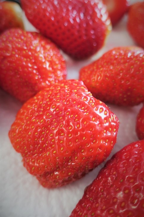 e0300042_20114029.jpg