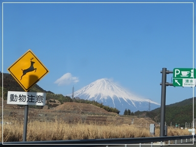 b0254145_16542701.jpg