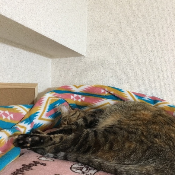 f0372445_12253304.jpeg