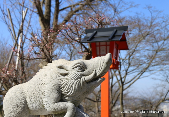 3月例会「春よ来い！観梅ウオーク」_b0389650_20054658.jpg