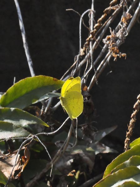 c0045352_20542014.jpg