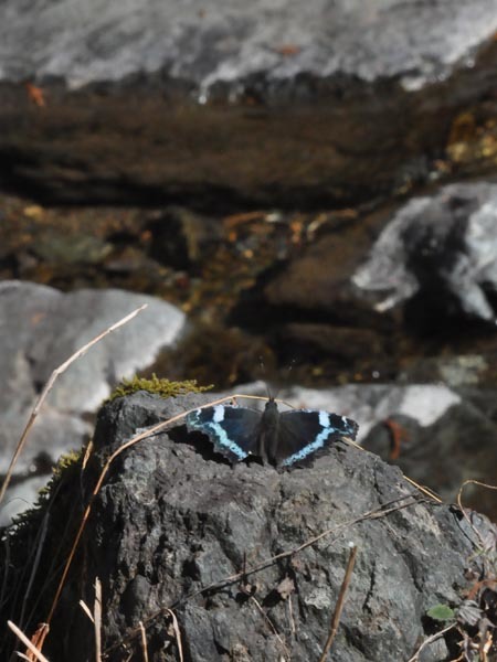 c0045352_20542100.jpg