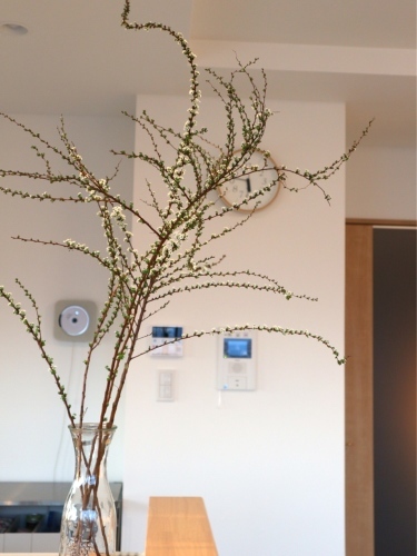 a0151356_19201853.jpeg