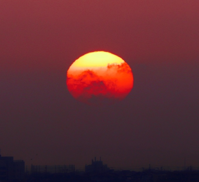 a0248459_15174469.jpg