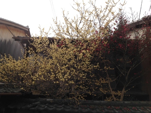 b0153663_11363986.jpeg