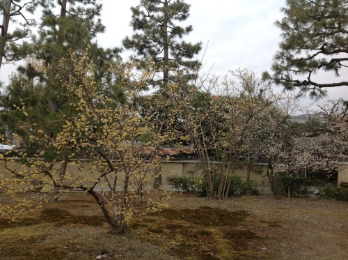 b0153663_11372034.jpeg