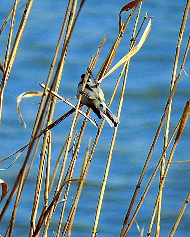 c0305565_17521379.jpg
