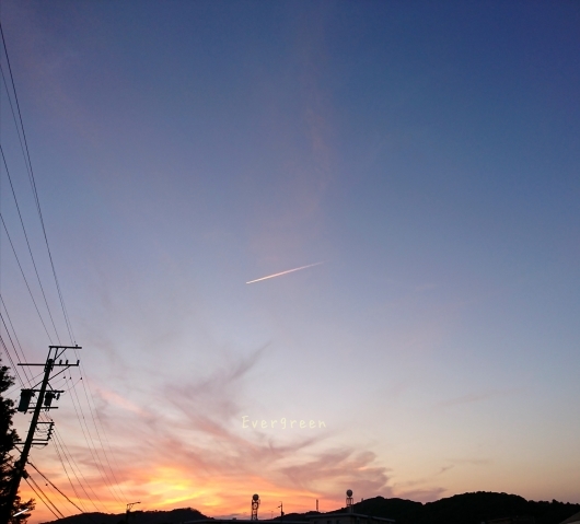 d0362666_21460139.jpg