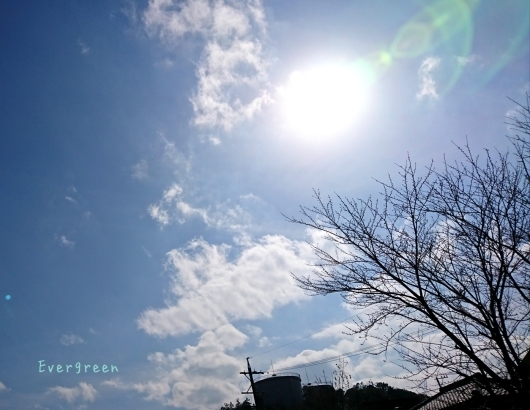 d0362666_23092527.jpg