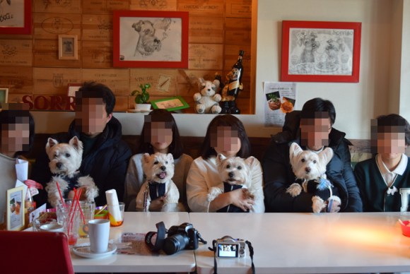 b0242873_01510581.png