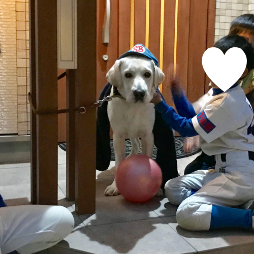 d0351381_22365041.jpeg