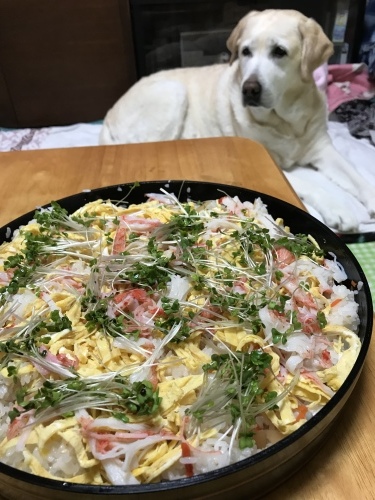 f0315081_22560037.jpeg