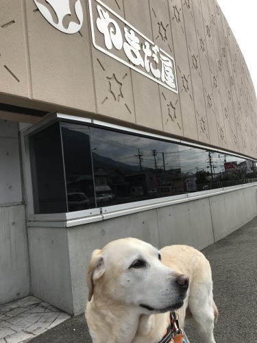 f0315081_22584889.jpeg