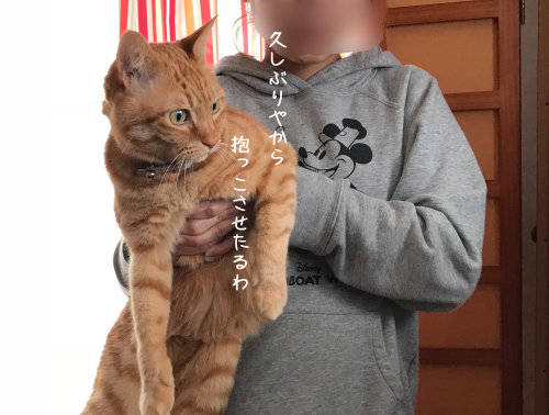 a0216583_14241278.png