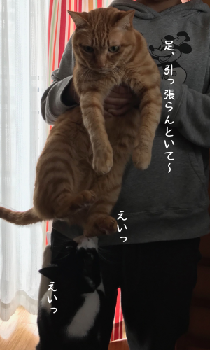 a0216583_14241957.png