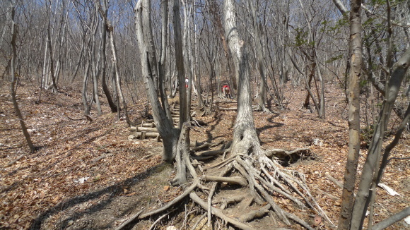 c0212083_19155117.jpg