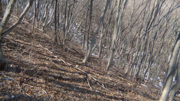 c0212083_19163010.jpg