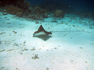 f0144385_21441454.jpg