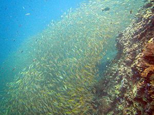 f0144385_21441589.jpg