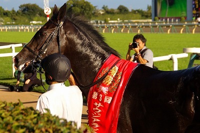 ２歳王者の貫禄！弥生賞はダノンプレミアムが無敗対決を制し４連勝で皐月賞に王手_b0015386_22254156.jpg