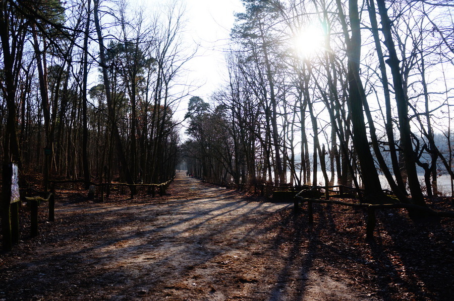 c0180686_17252766.jpg