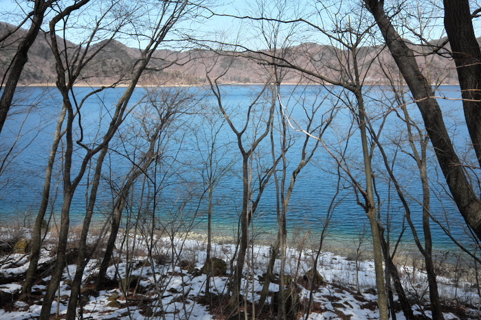 b0339488_21542012.jpg