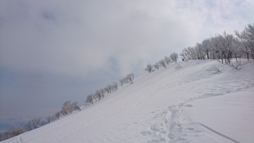 e0015490_22434404.jpg