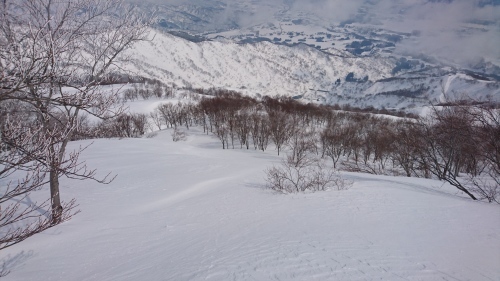 e0015490_22471891.jpg