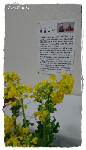 f0353990_16393348.jpg
