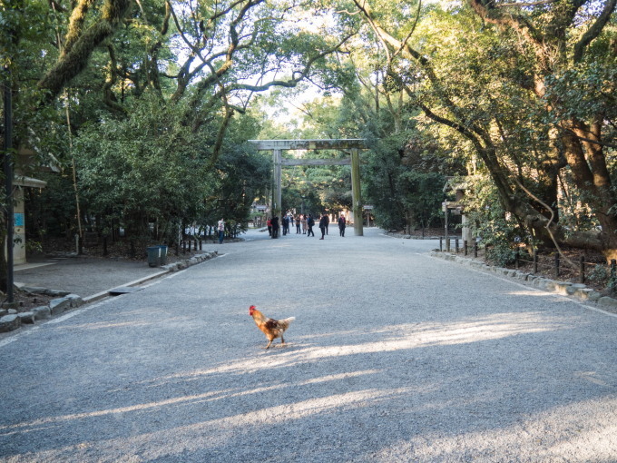 f0276498_00261352.jpg